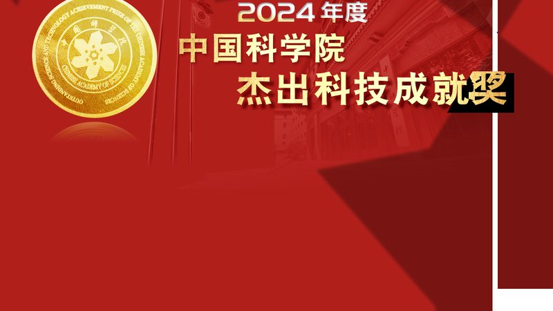 企业级搜索性能优化定制：揭秘提升效率的秘籍